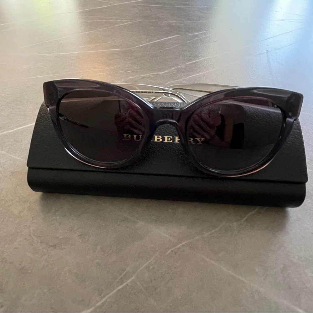 Classic Burberry Style Sunglasses